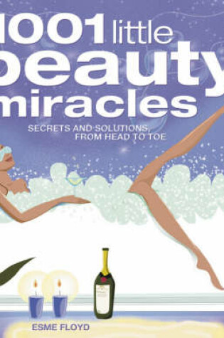 Cover of 1001 Little Beauty Miracles