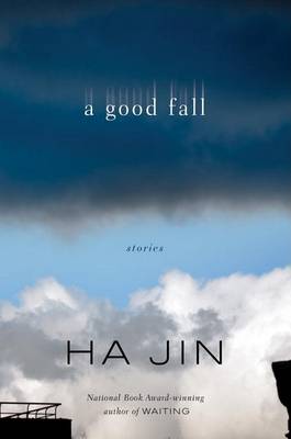 Cover of A Good Fall