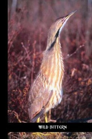 Cover of wild bittern