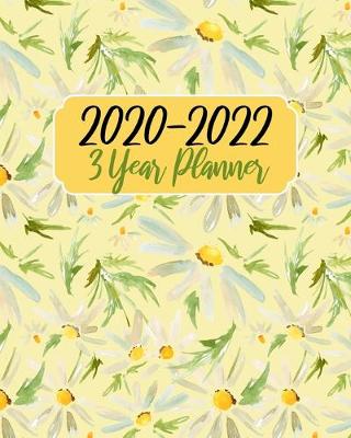 Cover of 2020-2022 3 Year Planner