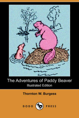 Book cover for The Adventures of Paddy Beaver(Dodo Press)