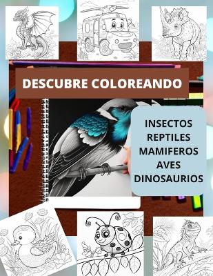 Cover of Descubre Coloreando0