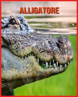 Book cover for Alligatore