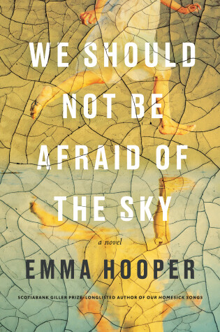 Cover of We Should Not Be Afraid Of The Sky