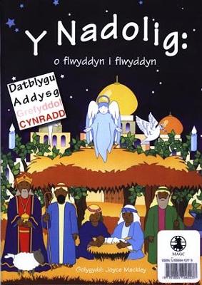 Book cover for Nadolig, Y - O Flwyddyn i Flwyddyn