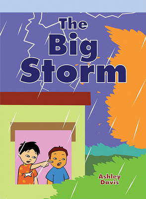 Cover of Big Storm