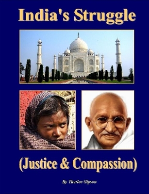 Book cover for India's Struggle