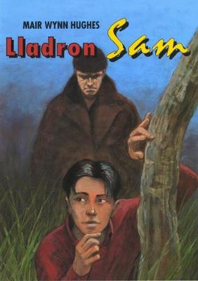 Book cover for Llyfrau Darllen CBAC Cyfnod Allweddol 2 Ail Iaith (Lefelau 2/3): Lladron Sam