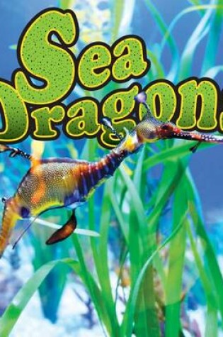 Cover of Sea Dragons