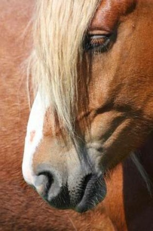 Cover of Palomino Horse Portrait Journal