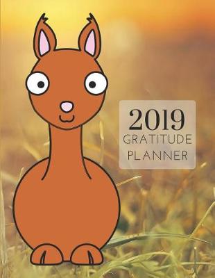 Book cover for 2019 Llama Gratitude Journal Daily Planner