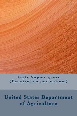 Book cover for Texts Napier Grass (Pennisetum Purpureum)