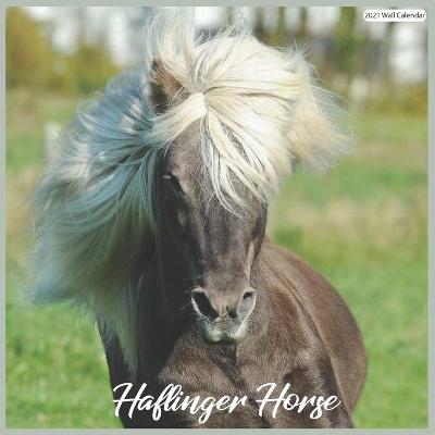 Book cover for Haflinger Horse 2021 Wall Calendar