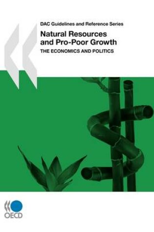 Cover of DAC Guidelines and Reference Series Natural Resources and Pro-Poor Growth