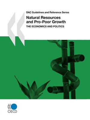 Book cover for DAC Guidelines and Reference Series Natural Resources and Pro-Poor Growth