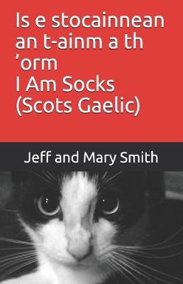 Book cover for Is e stocainnean an t-ainm a th 'orm I Am Socks (Scots Gaelic)