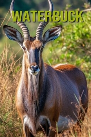 Cover of Waterbuck