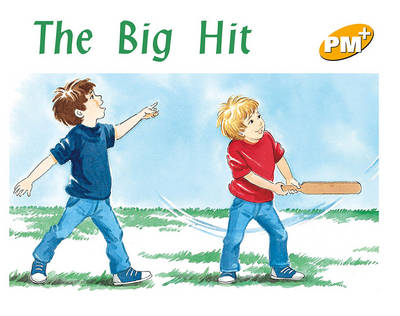 Book cover for The Big Hit