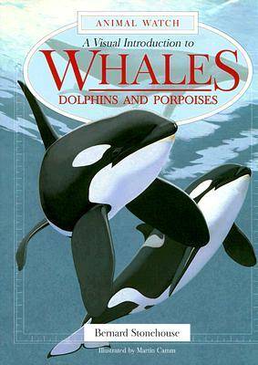 Book cover for Whales