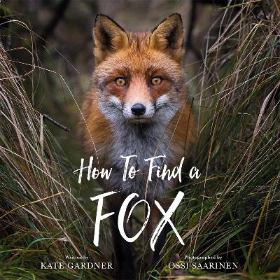 Book cover for How to Find a Fox