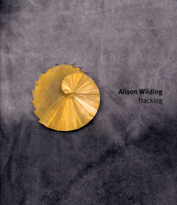 Book cover for Alison Wilding