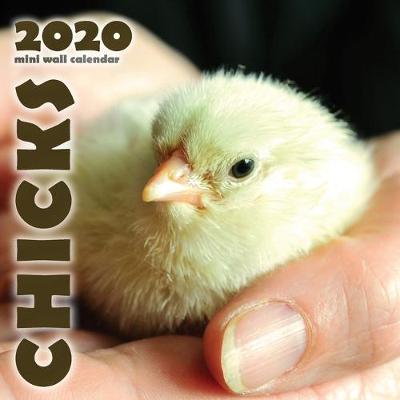 Book cover for Chicks 2020 Mini Wall Calendar