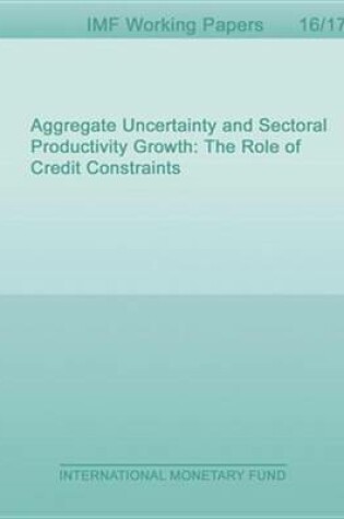 Cover of Aggregate Uncertainty and Sectoral Productivity Growth