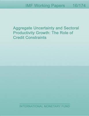 Book cover for Aggregate Uncertainty and Sectoral Productivity Growth