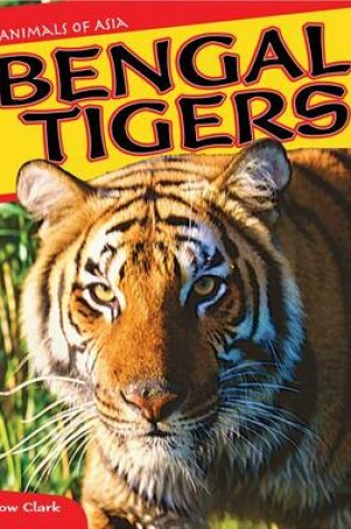 Cover of Bengal Tigers
