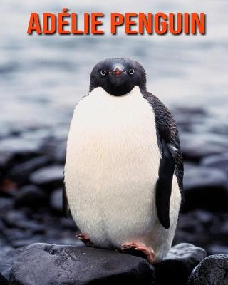 Book cover for Adélie Penguin