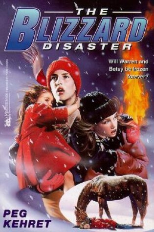 Cover of The Blizzard Disaster