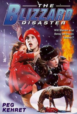 Book cover for The Blizzard Disaster