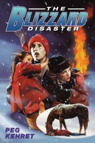Cover of The Blizzard Disaster