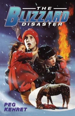 Book cover for The Blizzard Disaster