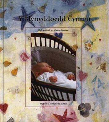 Book cover for Blynyddoedd Cynnar, Y