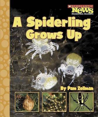 Book cover for A Spiderling Grows Up
