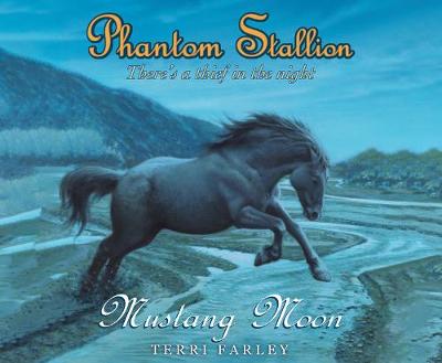 Cover of Phantom Stallion