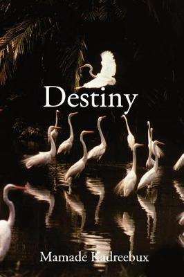 Cover of Destiny