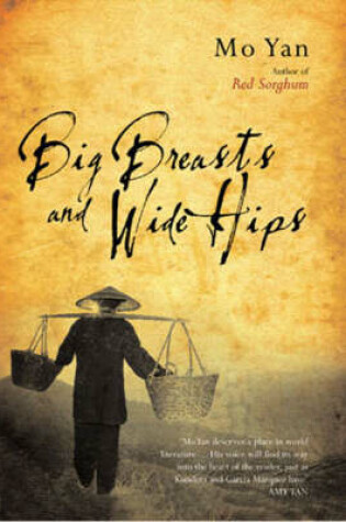 Cover of Big Breasts and Wide Hips