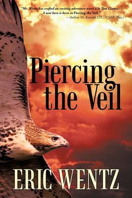 Book cover for Piercing the Veil