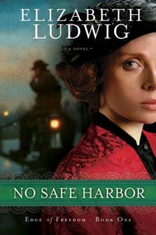 Cover of No Safe Harbor