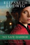 Book cover for No Safe Harbor