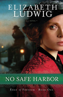Book cover for No Safe Harbor