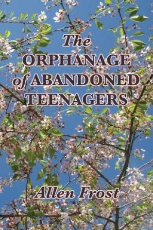 Cover of The Orphanage of Abandoned Teenagers