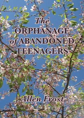 Book cover for The Orphanage of Abandoned Teenagers