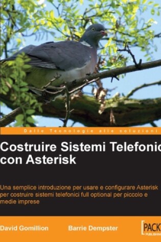 Cover of Costruire Sistemi Telefonici con Asterisk