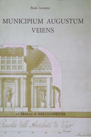 Cover of Municipium Augustum Veiens