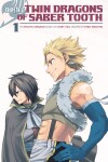 Book cover for Fairy Tail: Twin Dragons Of Saber Tooth