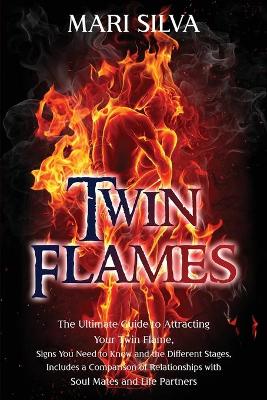 Book cover for Twin Flames