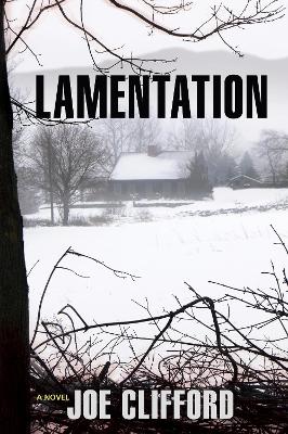 Book cover for Lamentation